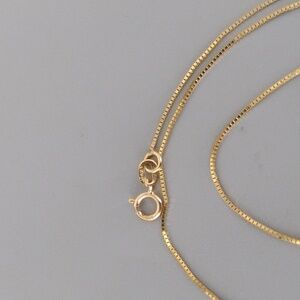 Dainty 14 K Gold Box Chain
